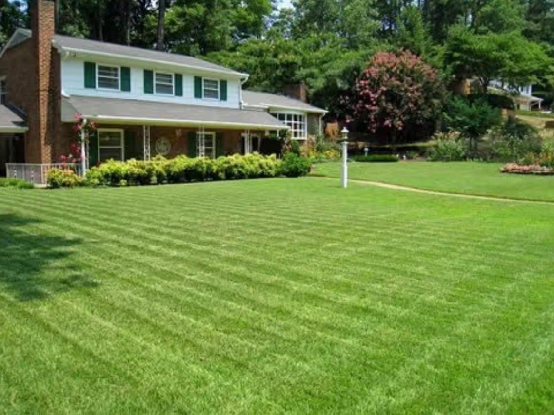 Freshly striped lawn in front of a brick home