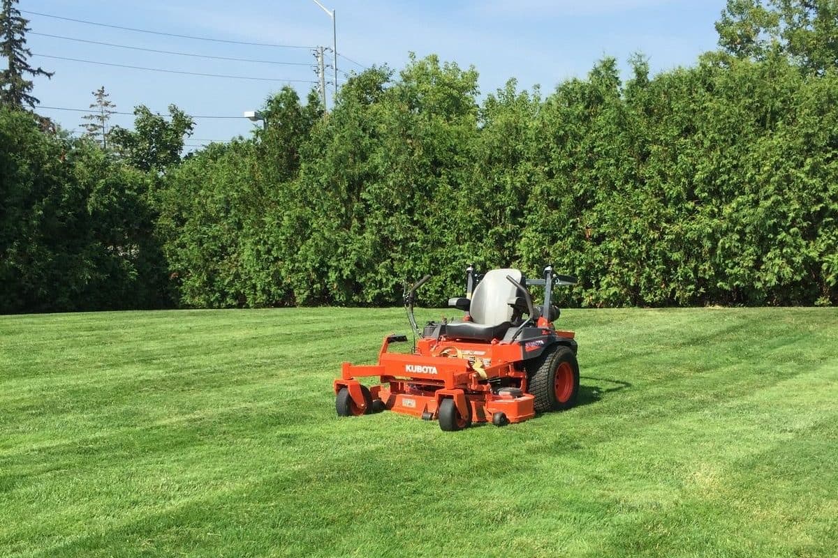 Lawn Maintenance