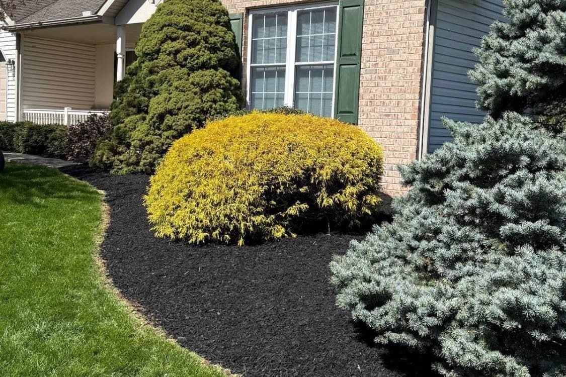 Mulching, Planting & Bed Maintenance